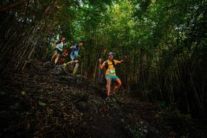 BIB: 
                            <button type="button" onclick="openModal(25099167)" class="btn btn-primary btn-sm float-right btn-popup" data-toggle="modal" data-target=".modal-high-quality">
                        <i class="fas fa-shopping-cart"></i> Add to Cart
                    </button>
                                            <button type="button" onclick="isThisMe(25099167, true)" class="btn btn-success btn-sm float-right btn-popup btn-isme hidden" data-toggle="tooltip" data-placement="bottom" title="นี่คือรูปของคุณใช่ไหม คลิกที่นี่เพื่อเอาเข้าอัลบั้ม">
                        <i class="fas fa-plus"></i> Add to album
                    </button>
                    <button type="button" onclick="isThisMe(25099167, false)" class="btn btn-warning btn-sm float-right btn-popup btn-isnotme hidden">
                        <i class="fas fa-ban"></i> Remove from album
                    </button>